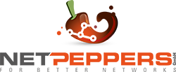 NetPeppers Messtechnik